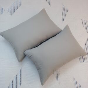 100% Organic Shimul Tola Ortha Pillow (18/26 Inch) – Solid Deep Ash – 2 Pecs